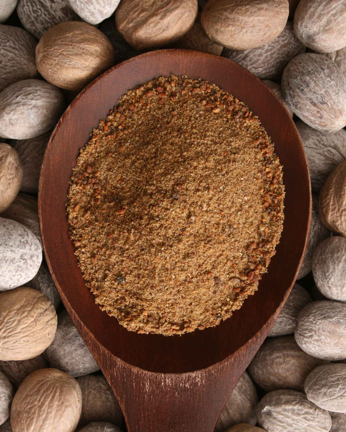 ragu-storico-bolognese