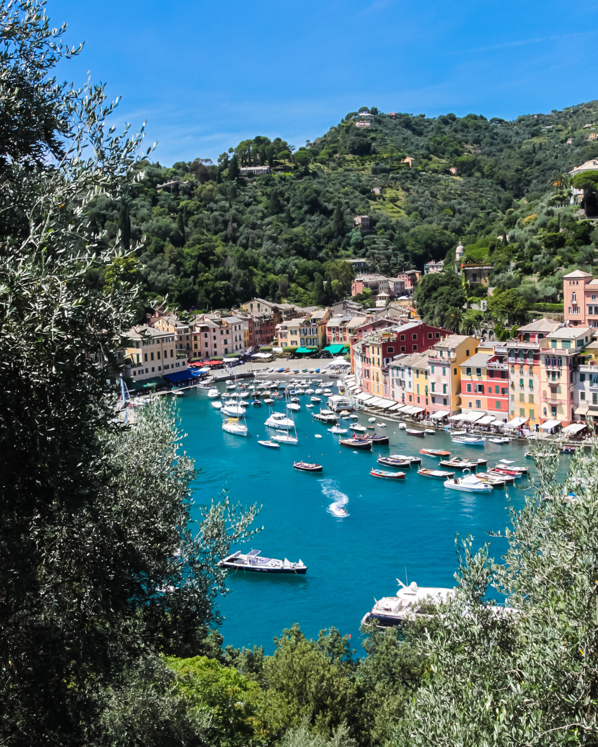 coniglio-e-olive-taggiasche