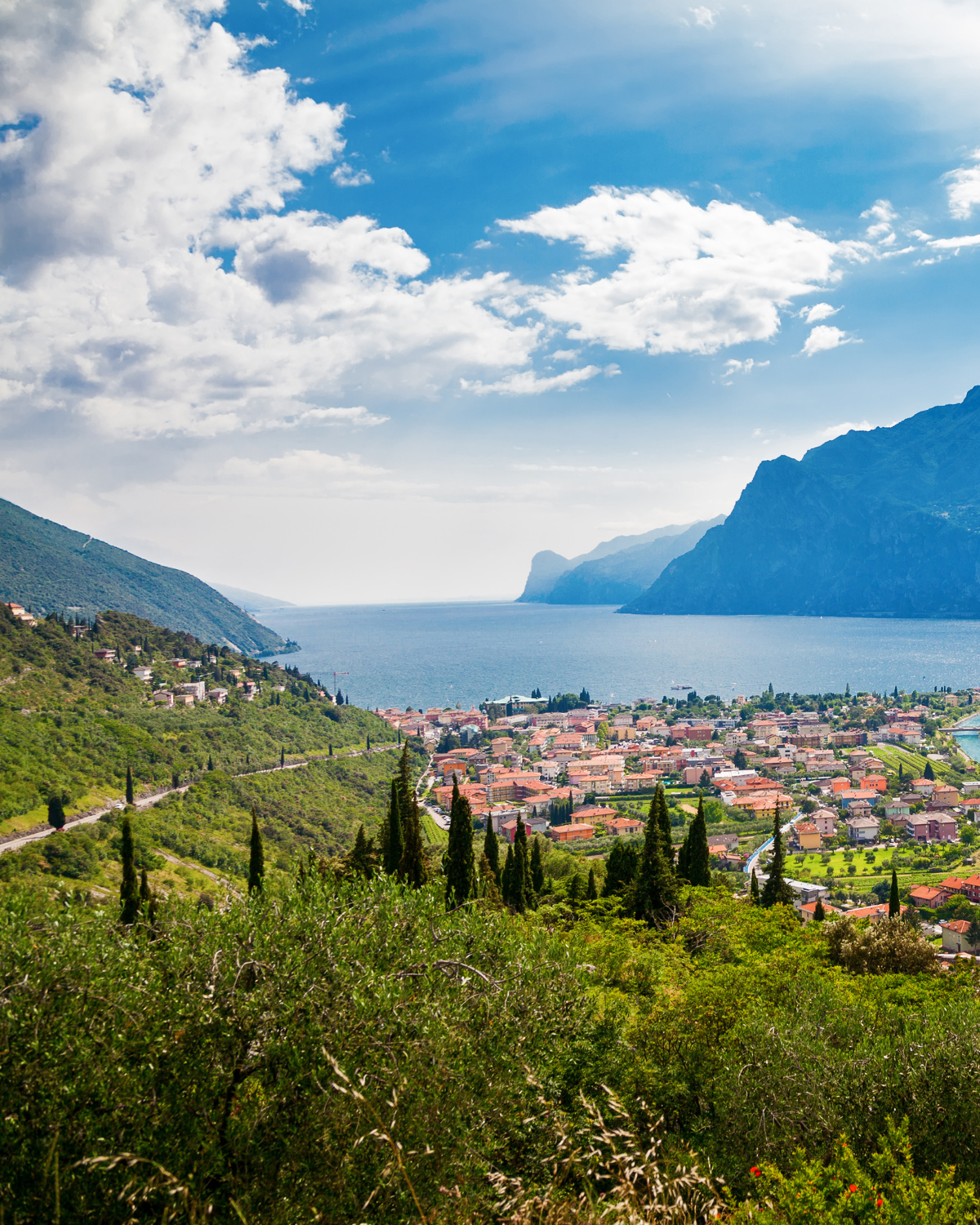 pesto-di-basilico-e-limone