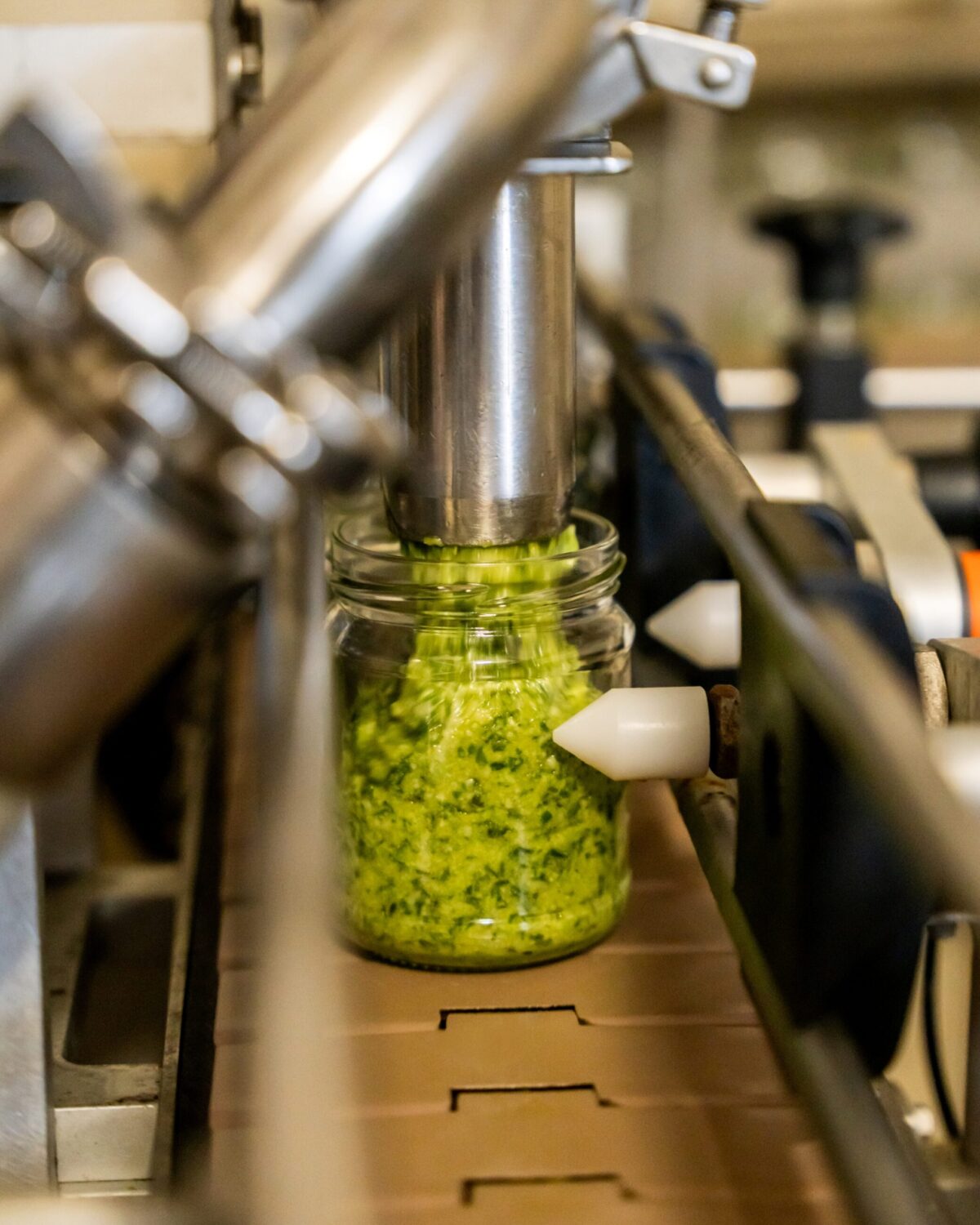 pesto-di-basilico-e-limone