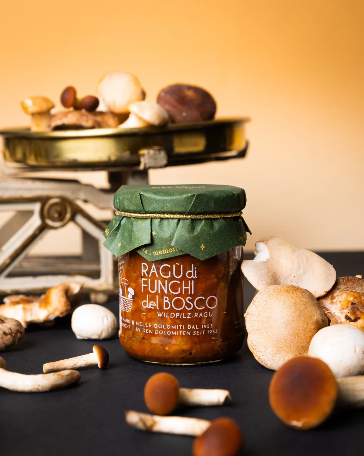 hover Ragù di funghi del bosco